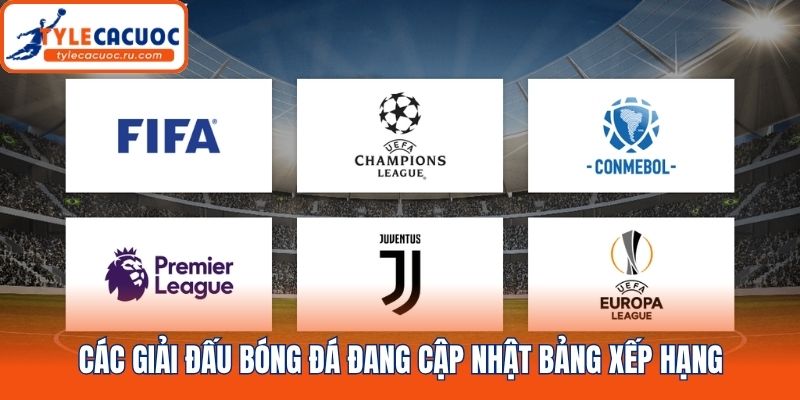 Các giải đấu bóng đá đang cập nhật bảng xếp hạng